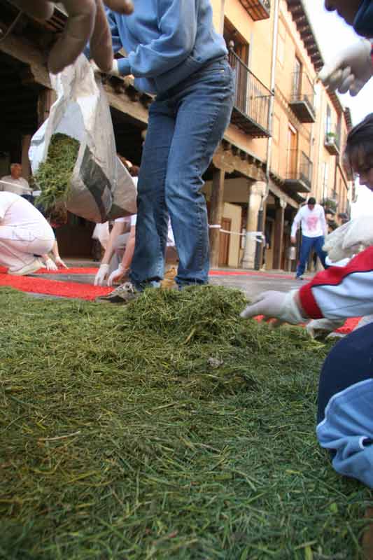 alfombras_2007_039