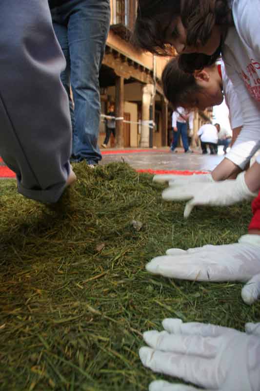 alfombras_2007_040