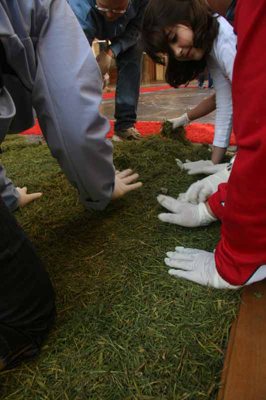 alfombras_2007_041