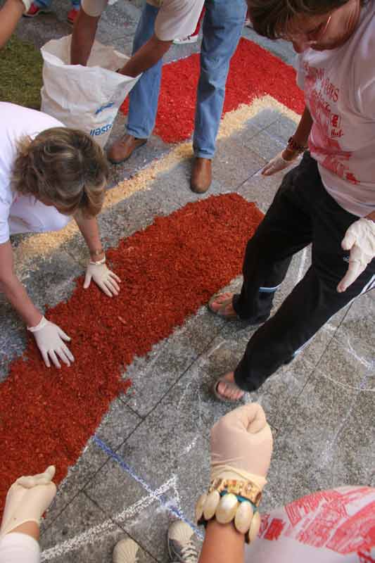 alfombras_2007_084