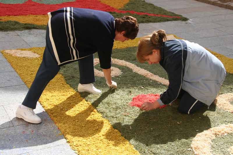 alfombras_2007_115