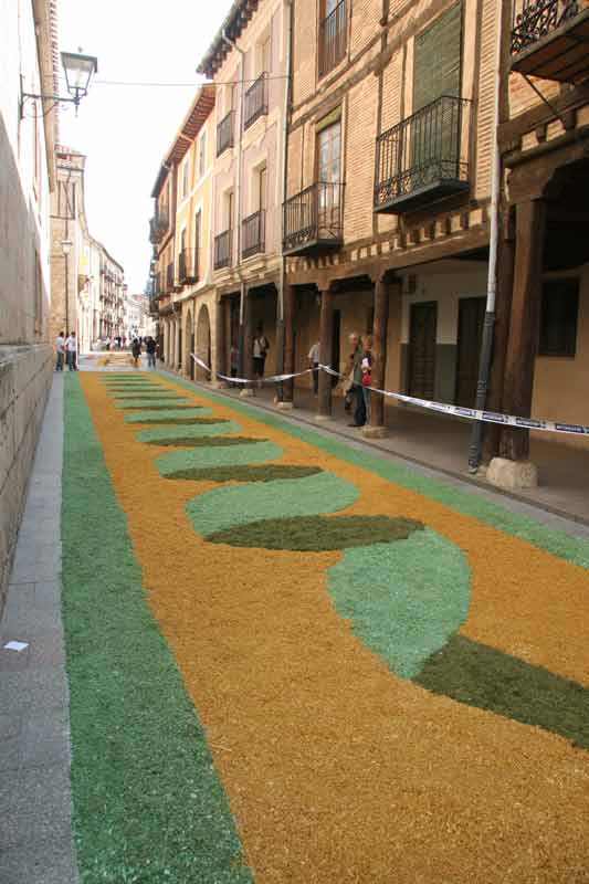 alfombras_2007_140