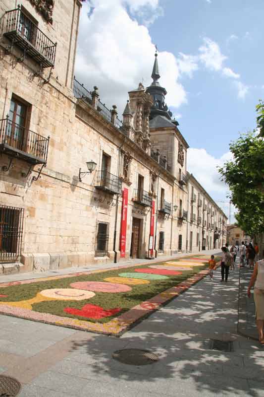 alfombras_2007_169