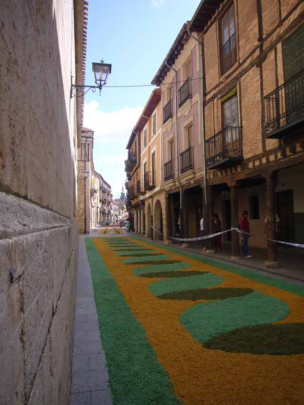 alfombras_Corpus_2007_042